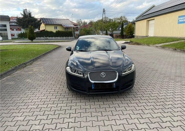 Jaguar XF cena 35900 przebieg: 220000, rok produkcji 2014 z Skawina małe 67